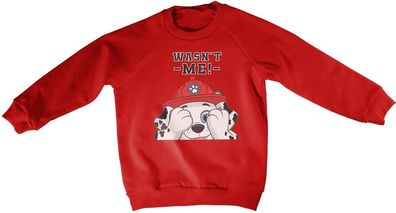 Paw Patrol Kinder Wasn't Me Kids Sweatshirt NIC-31-PP007-DTF538
