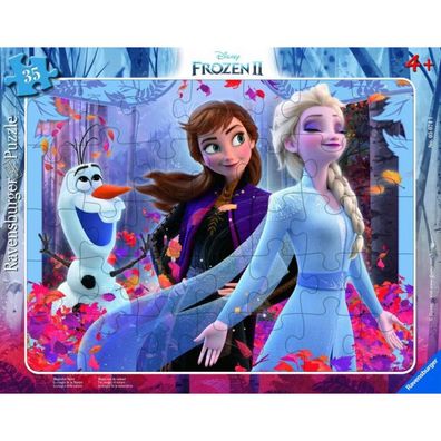 Pz. FRO Magische Natur 35T