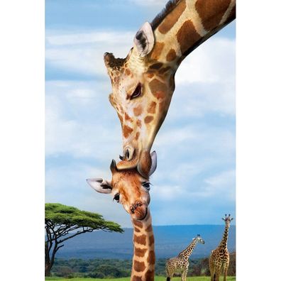 Eurographics Puzzle Rettet unseren Planeten: Giraffen XL 250 Teile