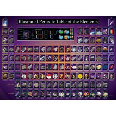 Eurographics Puzzle Illustriertes Periodensystem der Elemente 1000 Teile