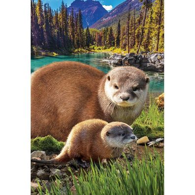 Eurographics Puzzle Rettet unseren Planeten: Otter XL 250 Stück