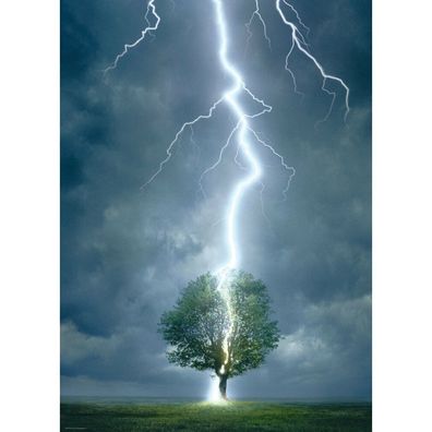 Eurographics Puzzle Baum vom Blitz getroffen 1000 Teile