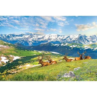 Eurographics Puzzle Hirsche in den Bergen 1000 Teile