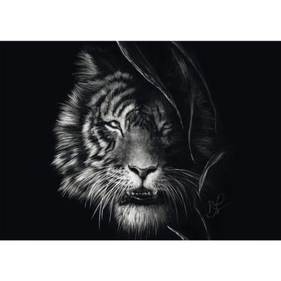 Ashley Rader: Wilderness - Tiger, Im Zeichen Der Freiheit (1000 Teile)