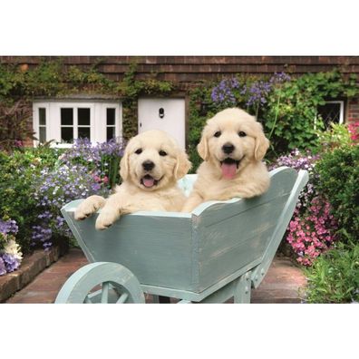 Feel Well & Puzzle - Golden Retriever (200 Teile)