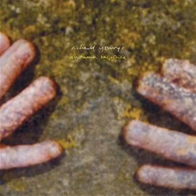 Richard Youngs: Autumn Response - 375 Media - (CD / A)