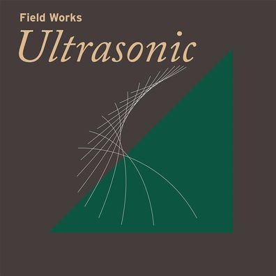 Various: Field Works: Ultrasonic - 375 Media - (CD / F)