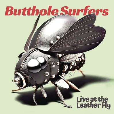 Butthole Surfers: Butthole Surfers: Live At The Leather Fly
