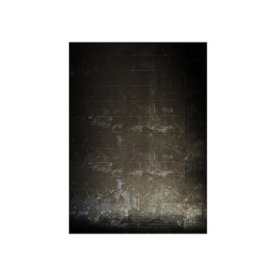 Bresser - F004305 - BR Hintergrundtuch mit Fotomotiv 1,8 x 2,5m