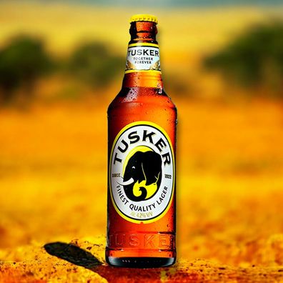 6 Flaschen Tusker Bier 0,5l - Das Lager aus Kenia in Afrika mit 4,2%Alc