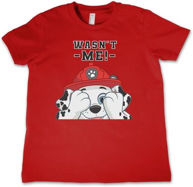 Paw Patrol Kinder T-Shirt Wasn't Me Kids Tee NIC-12-PP007-DTF538