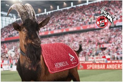 1. FC Köln Puzzle Hennes - 100 Teile 4040260