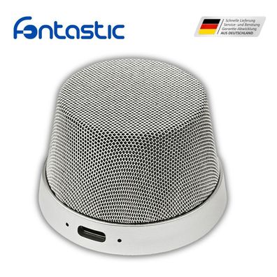 Drahtloser Mini-Lautsprecher "Magna" silber