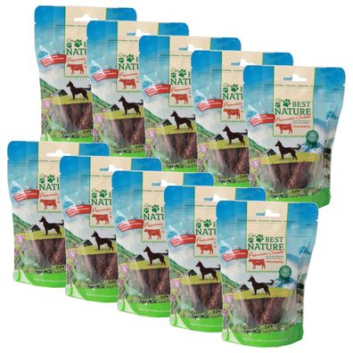 Best Nature Premium Snack für Hunde, 10x 100g - Rindfleischsticks