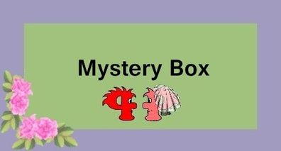 Mystery Box Klein, Überraschungspaket, BH, Marken BH, Dessous