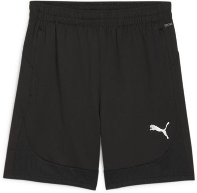 Puma Sport Shorts TeamFinal Training Shorts 658566