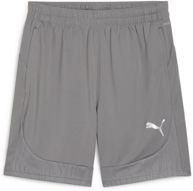 Puma Sport Shorts TeamFinal Training Shorts 658566