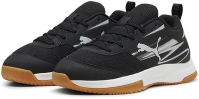 Puma Kinder Indoorschuhe Low Varion II Jr 108105