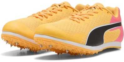Puma Kinder Schuhe Low evoSPEED Star 9 Junior 310796