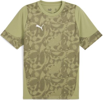 Puma TeamCUP Training Jersey 659167