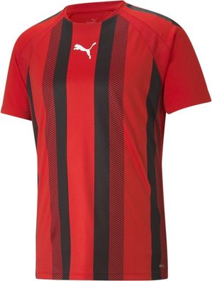 Puma TeamLIGA Striped Jersey 704920