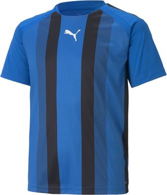 Puma Kinder TeamLIGA Striped Jersey Jr 704927