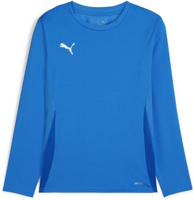 Puma Kinder TeamGoal Longsleeve Jersey Jr 705751