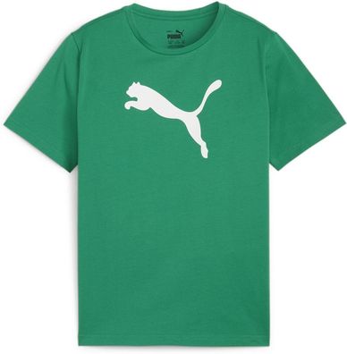 Puma Kinder Shirt TeamRISE Logo Jersey Cotton Jr 658707