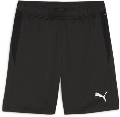 Puma Sport Shorts TeamGoal Training Short 658643