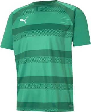 Puma TeamVISION Jersey 704921