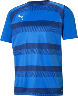 Puma TeamVISION Jersey 704921
