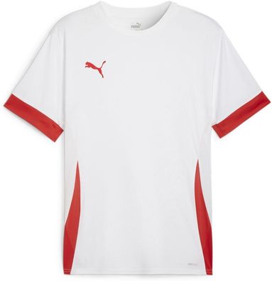 Puma TeamGoal Matchday Jersey 705747