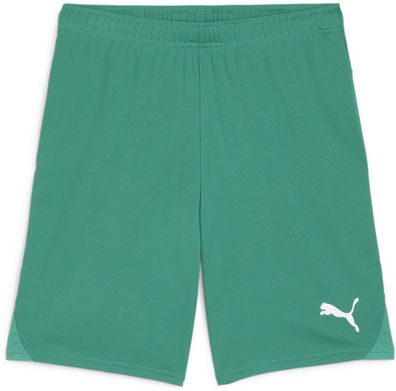 Puma Sport Shorts TeamGoal Shorts 705752