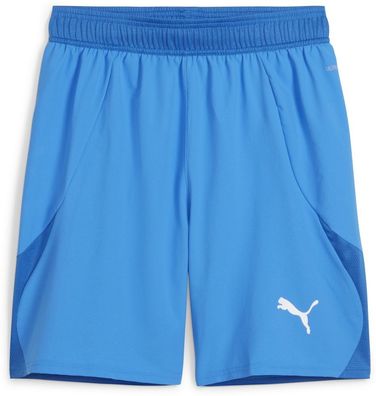 Puma Sport Shorts TeamFinal Shorts 705743