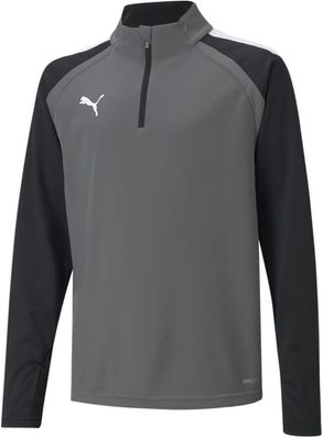 Puma Kinder Crew Sweatshirt TeamLIGA 1/4 Zip Top Jr 657237