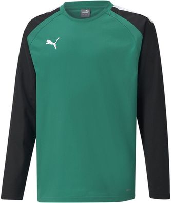 Puma Kinder Crew Sweatshirt TeamLIGA Training Sweat Jr 657239