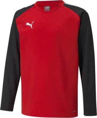 Puma Kinder Crew Sweatshirt TeamLIGA Training Sweat Jr 657239