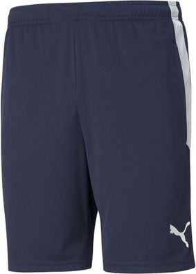 Puma Sport Shorts TeamLIGA Training Shorts 657249