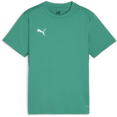 Puma Kinder Shirt TeamGoal Jersey Jr 658637