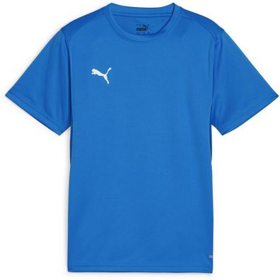 Puma Kinder Shirt TeamGoal Jersey Jr 658637