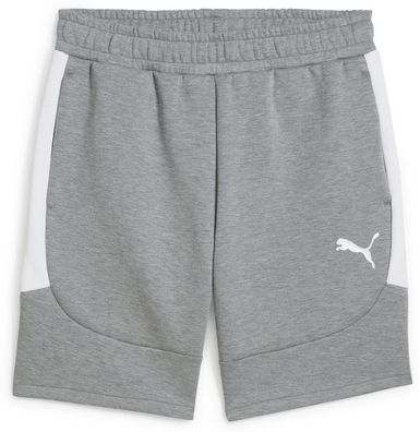 Puma Sport Shorts TeamEVOSTRIPE Shorts 659951