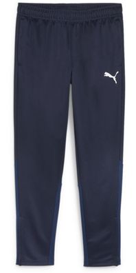 Puma Sporthose TeamGoal Training Pant 658639