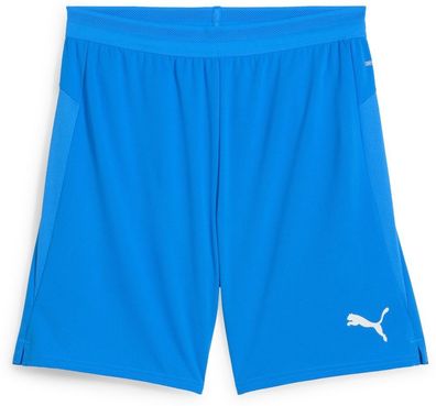 Puma Sport Shorts TeamCUP Shorts 706275