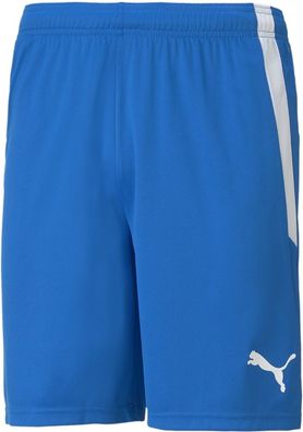 Puma Sport Shorts TeamLIGA Shorts 704924