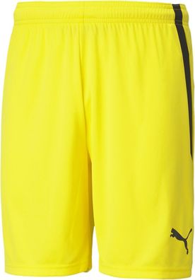 Puma Sport Shorts TeamLIGA Shorts 704924