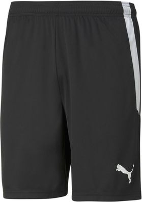 Puma Sport Shorts TeamLIGA Shorts 704924