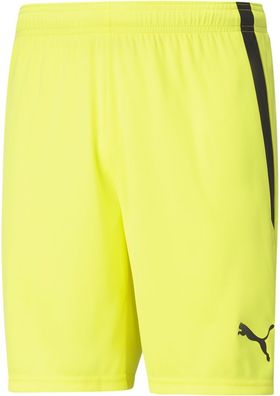 Puma Sport Shorts TeamLIGA Shorts 704924