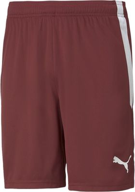 Puma Sport Shorts TeamLIGA Shorts 704924