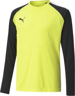 Puma Kinder TeamPACER GK Longsleeve Jersey Jr 704939