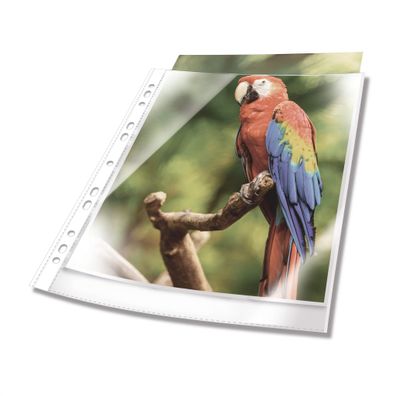 Prospekthülle, oben offen, A4, PP, 80 my, glasklar/weiß, Beutel 10St